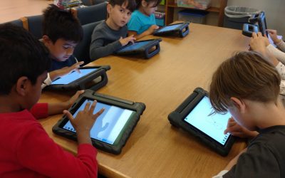 Interactive Lessons in the Callison Library